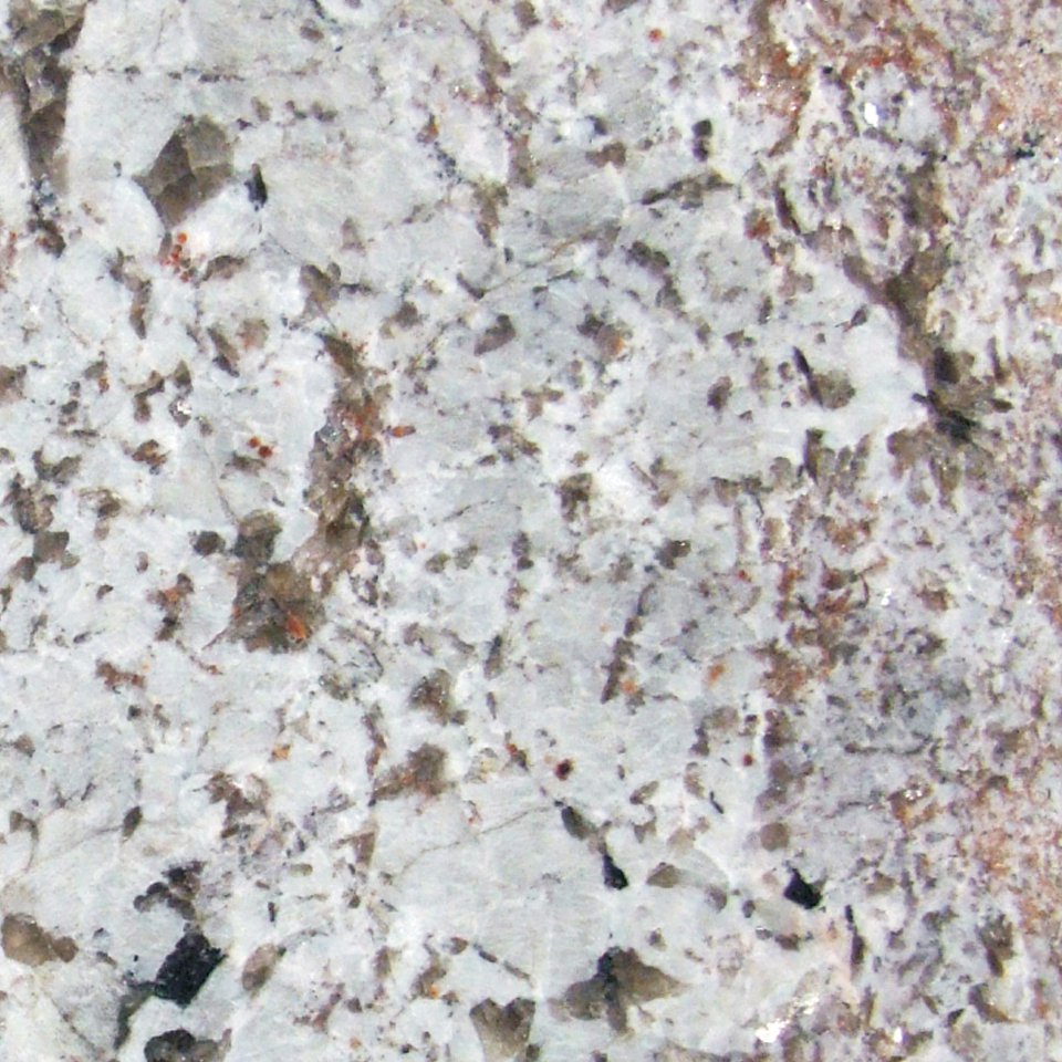 Bianco Antico Tampa Bay Marble And Granite